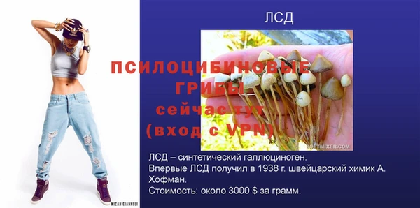мдпв Пролетарск