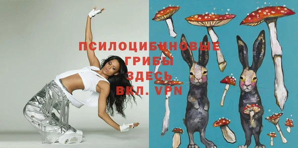 мдпв Пролетарск