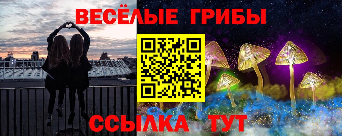 Сосновый Бор  Псилоцибиновые грибы Cubensis  Вход с VPN  Галлюциногенные грибы ЛСД 